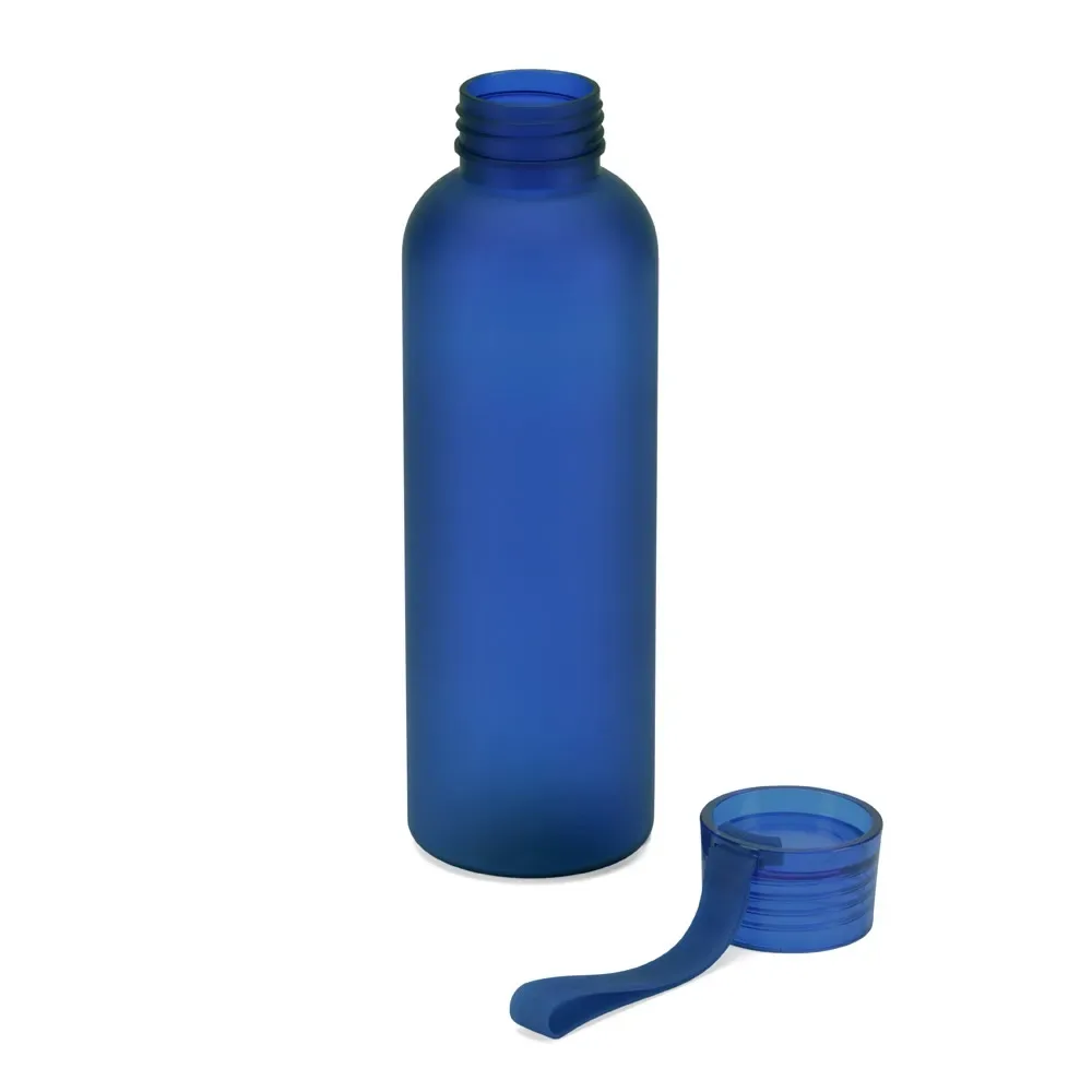 CARGNIN. Squeeze esportiva em PET 100% reciclado, com acabamento fosco 600 mL